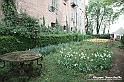 VBS_0912 - Castello di Piea d'Asti